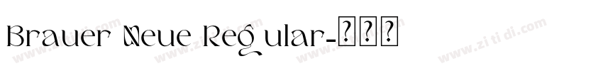 Brauer Neue Regular字体转换